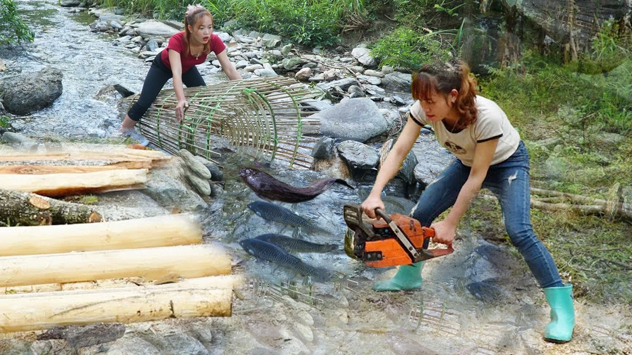 Building a Wooden House, Creative Bamboo Fish Traps & Harvesting Fish and Turtles