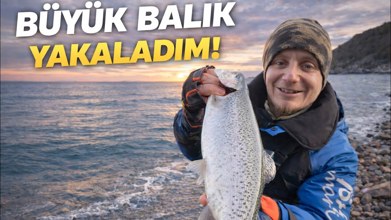 SAMSUN SOMON AVI // SOMON AVI NASIL YAPILIR ?