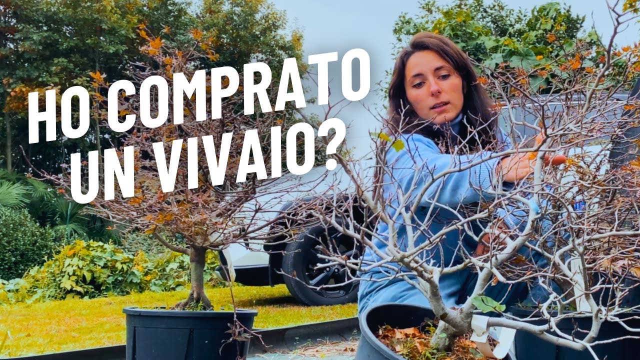 Una serra tutta per me