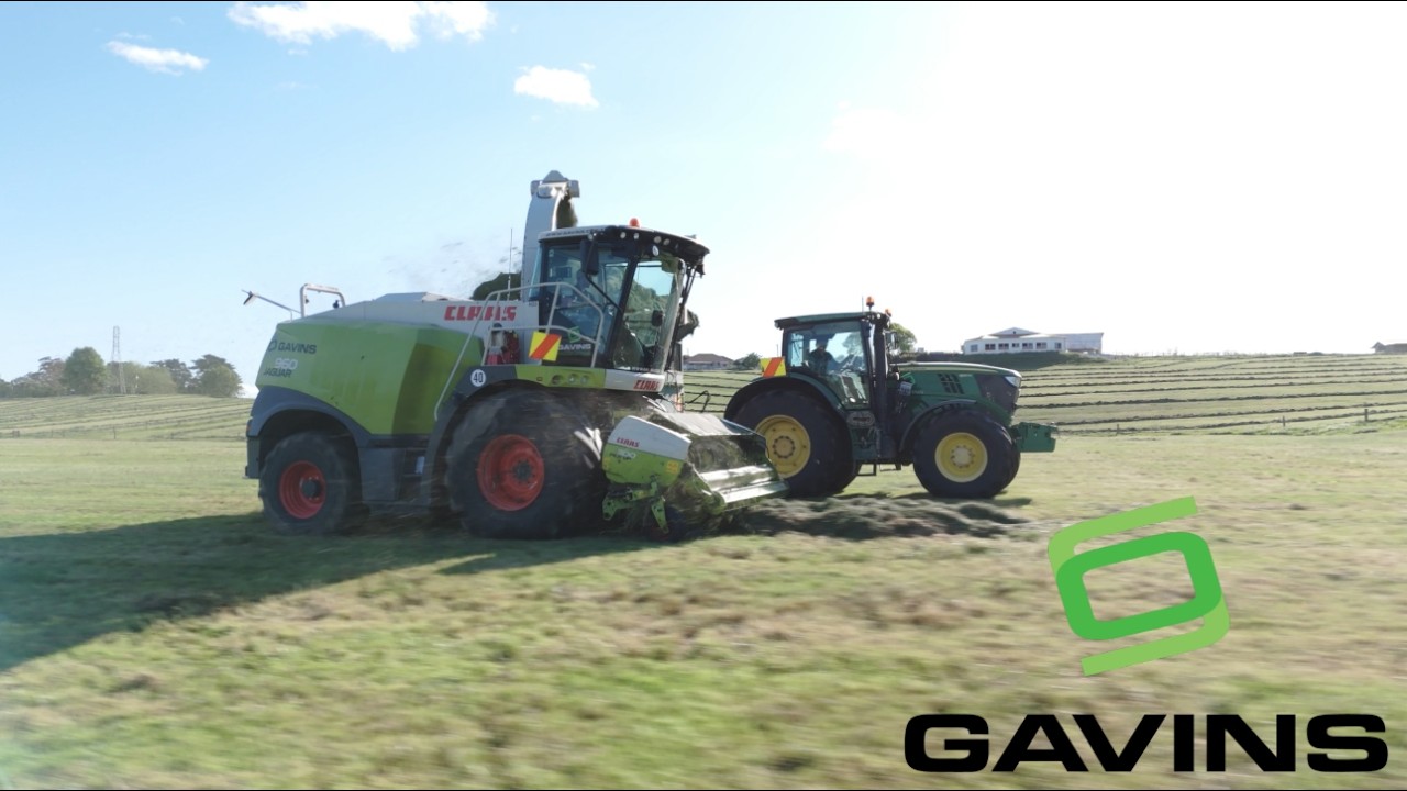 GAVINS Ltd. New Zealand 2024/2025 Season