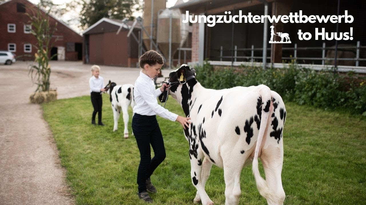 Jungzüchterwettbewerb to Huus - 2020