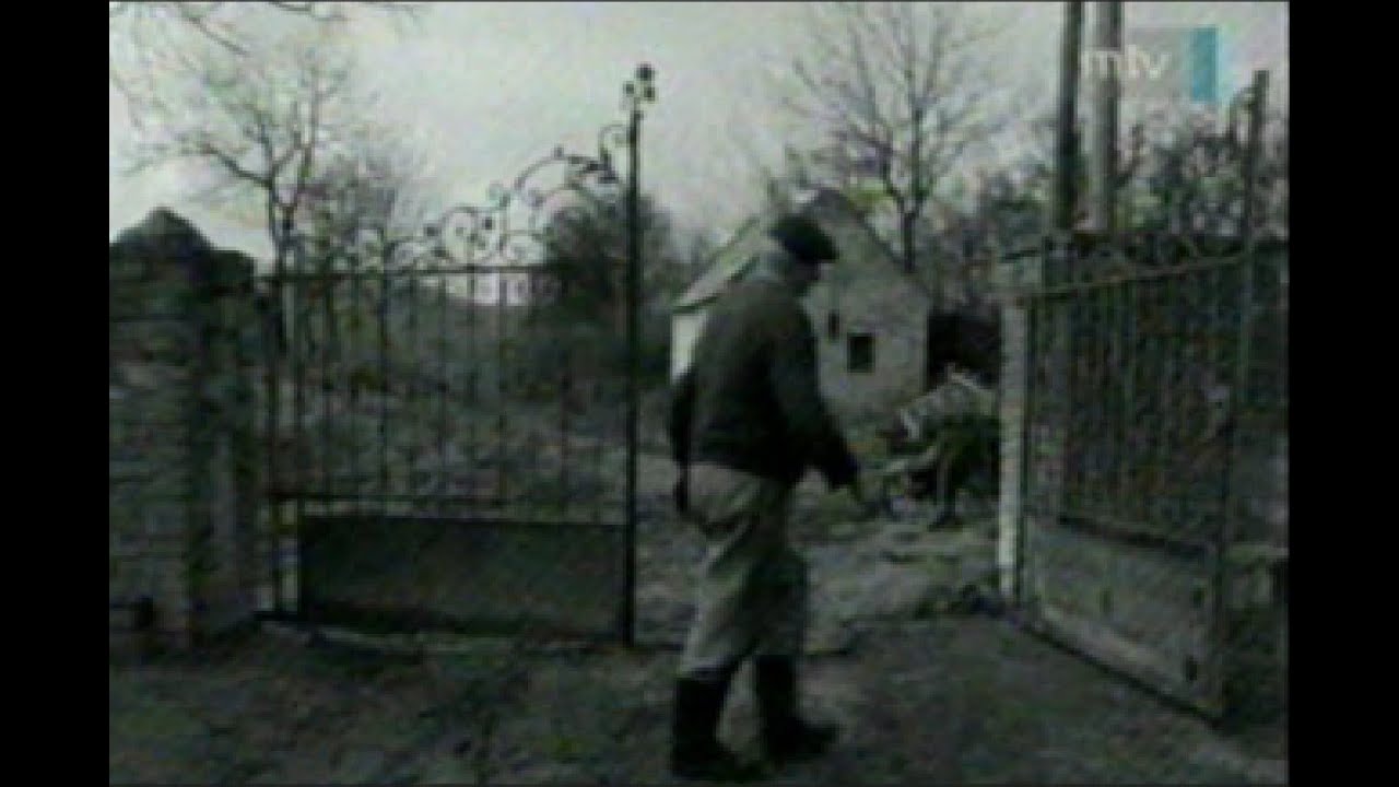 Az elnémult falu - Gyűrűfű