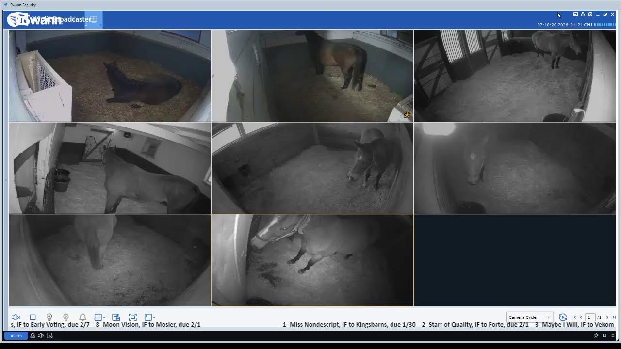 1/20/26 Livestream