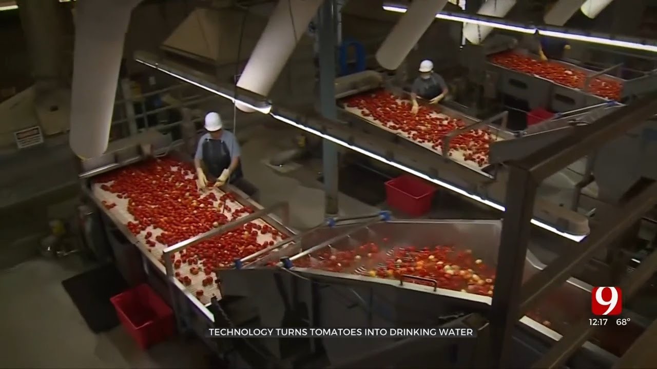Tapping Tomatoes: California Processors Making Drinking Water From Tomatoes