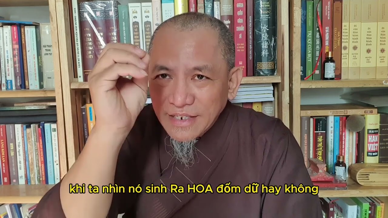 Vì sao thiền sư Lê Mạnh Thát viết luận án Tiến Sỹ triết học Thế Thân
