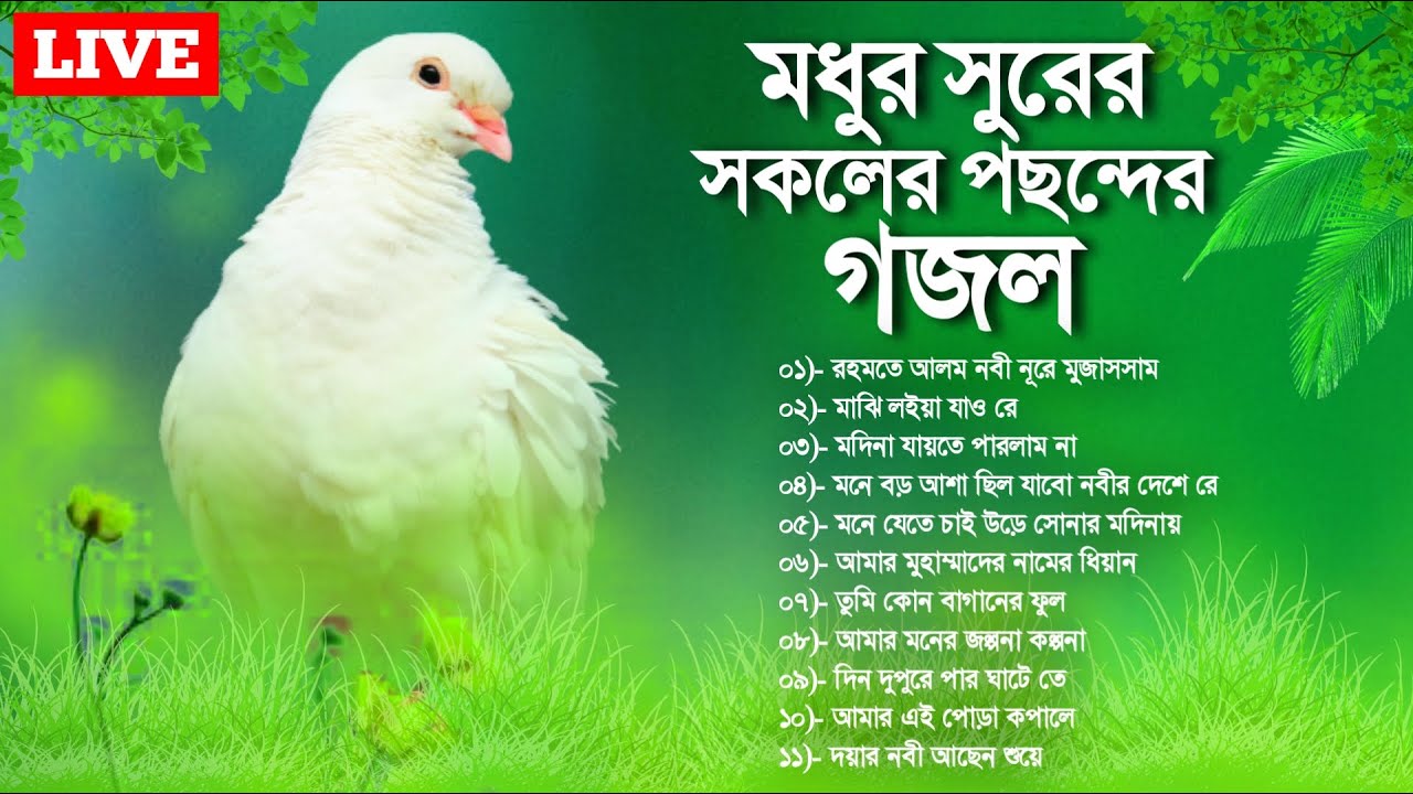 🔴 Live Gojol | রাত্রে বেলায় শোনার মত সুমধুর সুরের আপনাদের পছন্দের গজল | Bangla Best Gojol