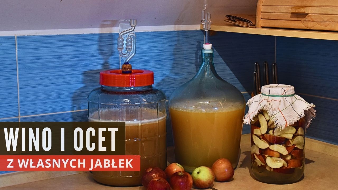 Wino jabłkowe i ocet jabłkowy - najlepsze z własnych jabłek