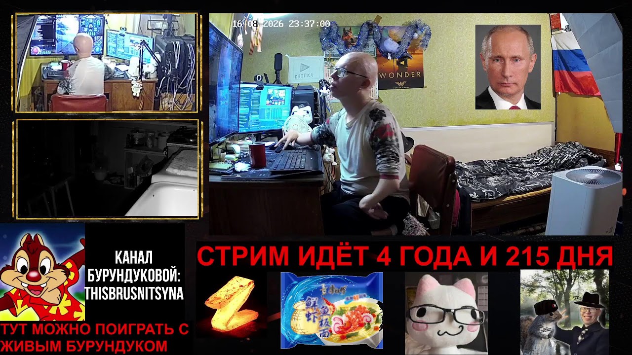 Живу. Постоянная живая трансляция 24/7 (команды для камер !cam1, !cam2, !cam3)