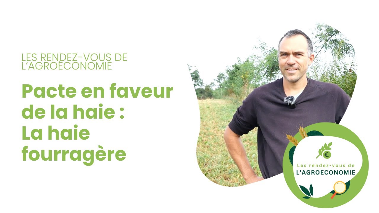 Pacte en faveur de la haie : La haie fourragère