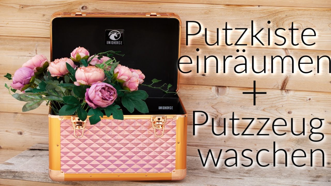 Meine Putzkisten einräumen und die Pferde Putzsachen waschen