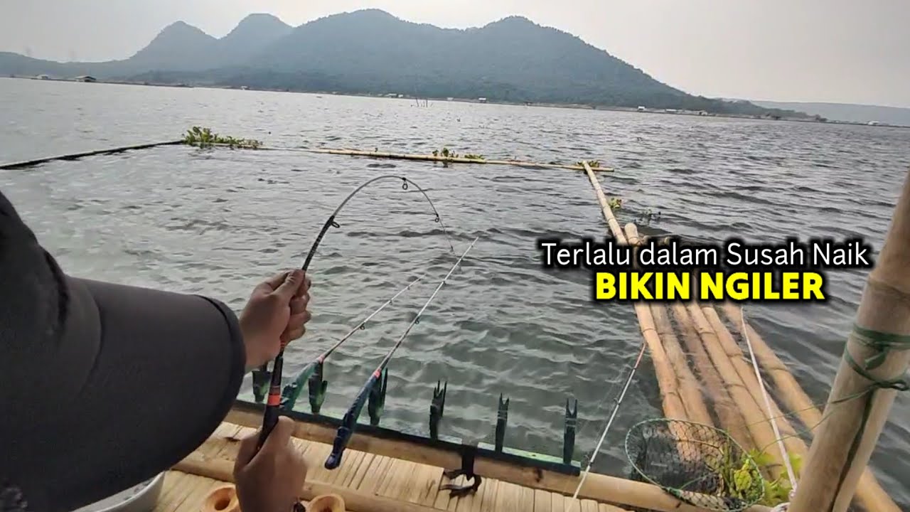 PEMANCING MANA YANG TAK TERGODA DENGAN SPOT SEPERTI INI BIKIN NGILER || Fishing MANCING MANIA