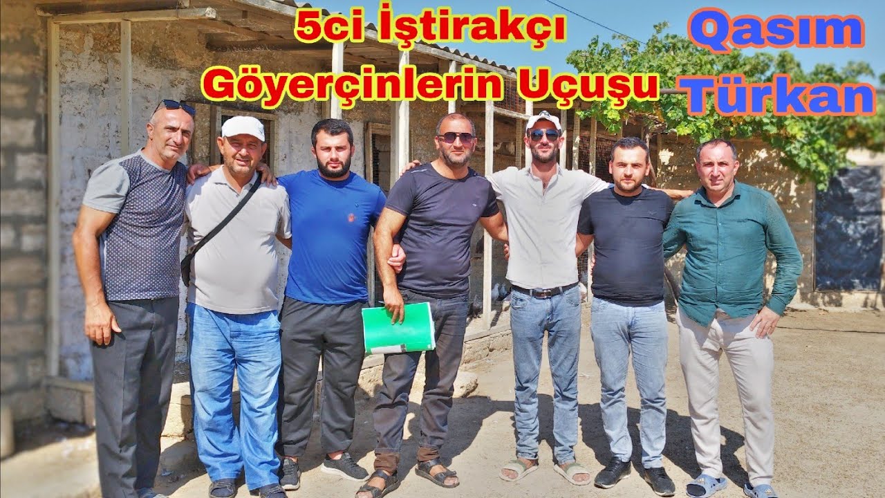 5ci Yarışçı Qasım Türkan Azərbaycan Çempionatı Bakı Göyərçinlərinin Yarışı