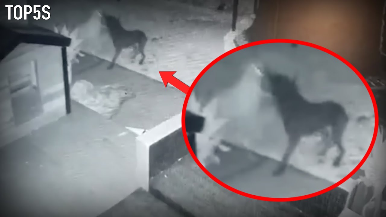 Top 5 SCARY GHOST Encounters That Are NIGHTMARE FUEL