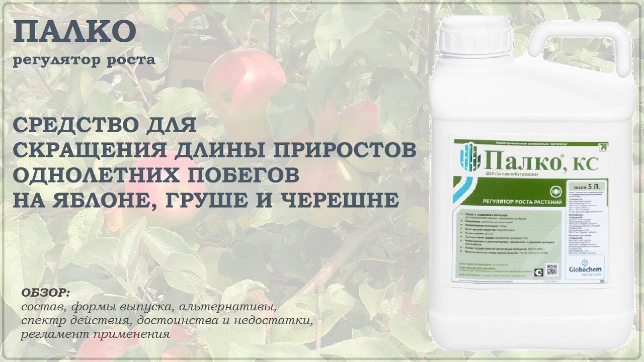 Палко - средство для сокращения длины приростов однолетних побегов на яблоне, груше и черешне. Обзор