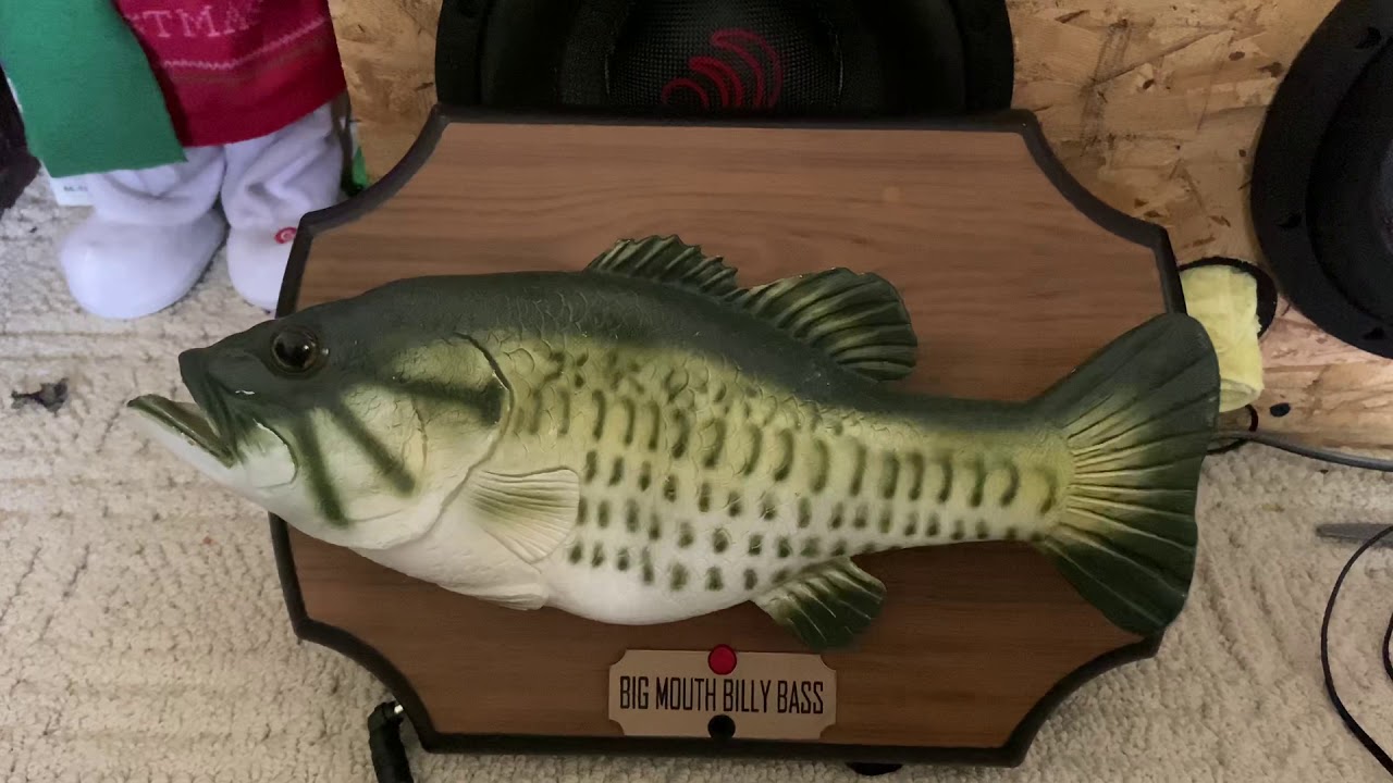 My really low pitch big mouth billy bass