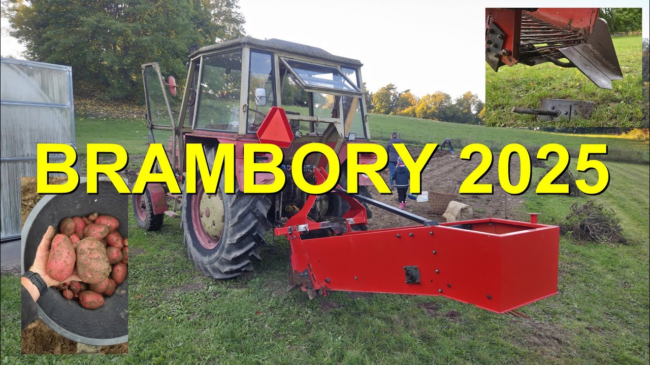 Brambory 2025 // ZETOR 6911 // (Potatoes 2025)