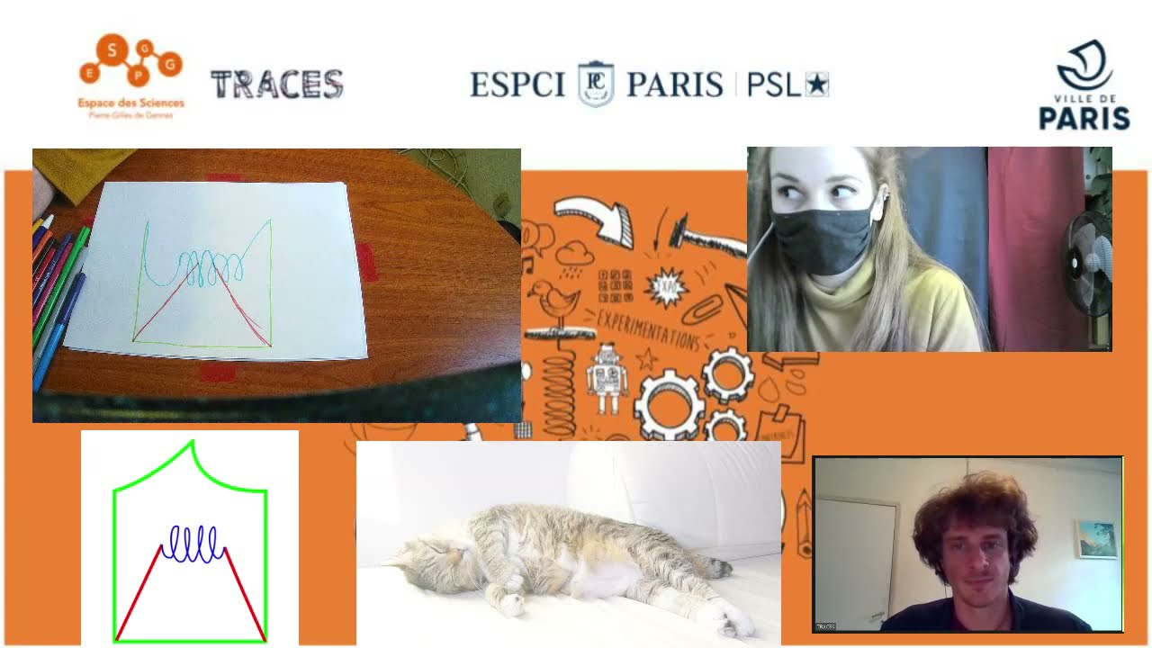 Eva, Maxime et Arnaud vous parleront de la classification du vivant.