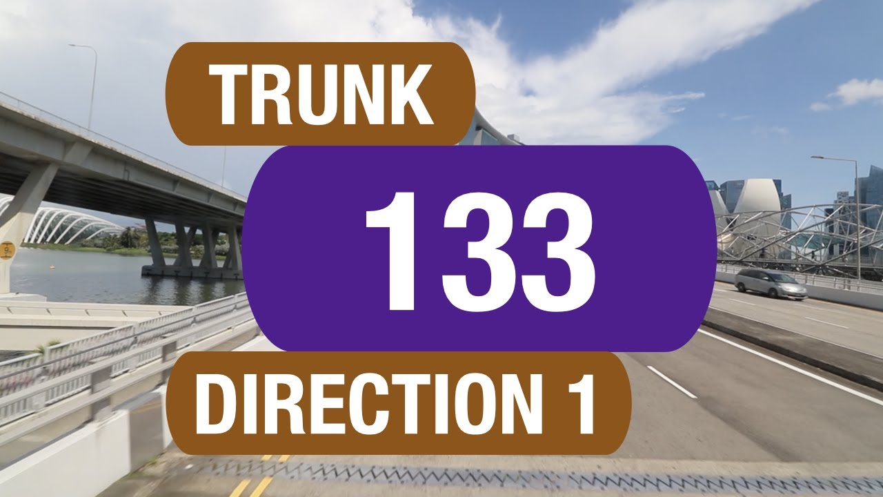 SBS Transit Trunk 133 (Direction 1) | Bus Service Route Visual