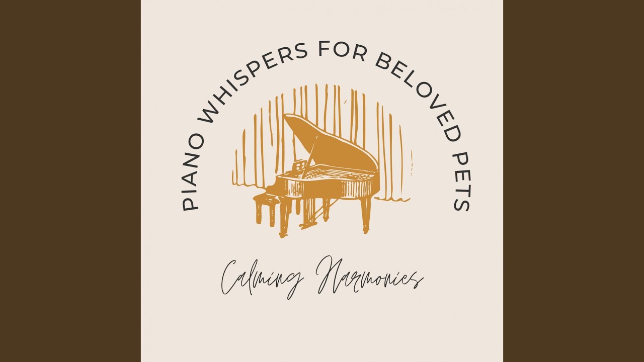 Tranquil Piano Phrases of Pet's Delight