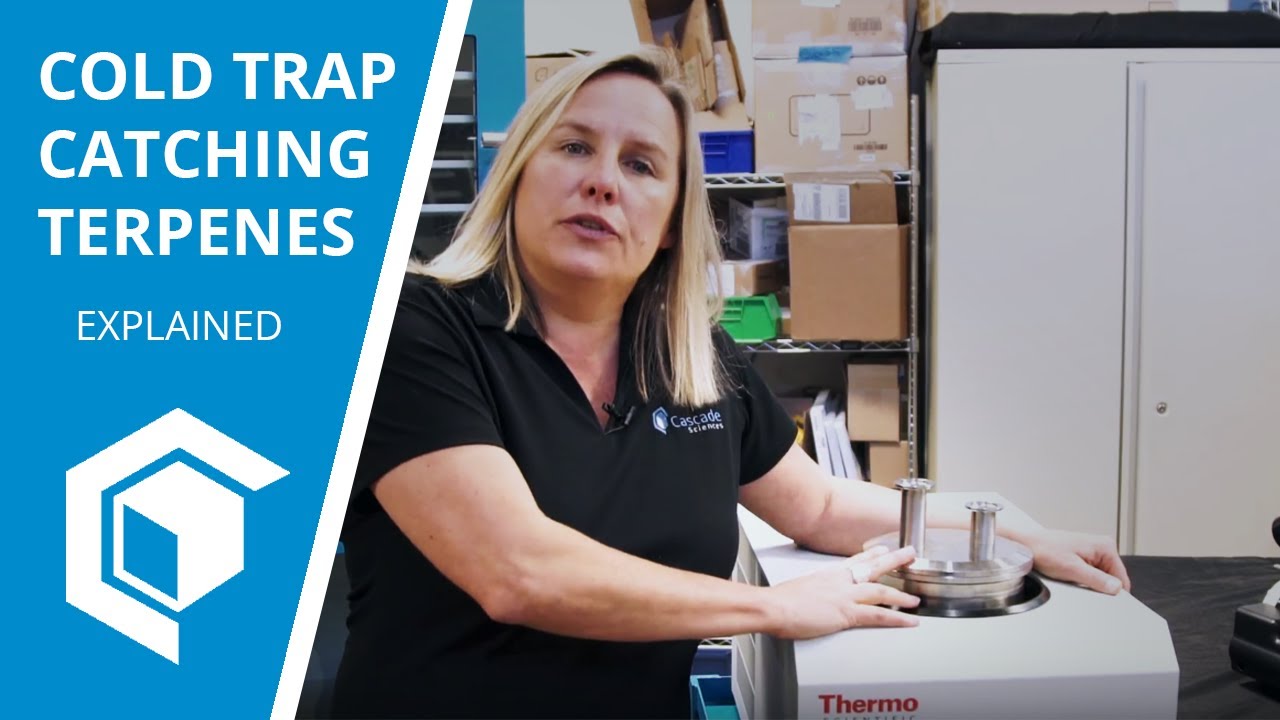 Capturing Terpenes With a Cold Trap