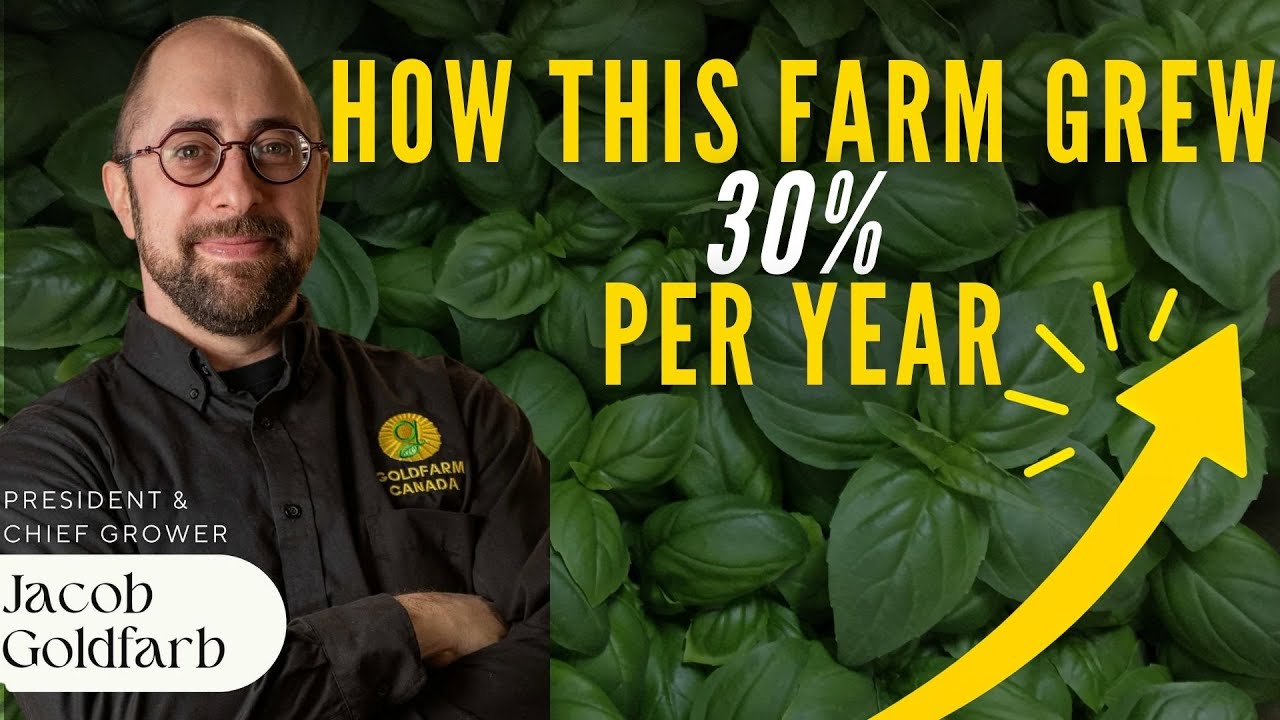 Microgreens Business Strategy: From Side Hustle to Scalable Operation