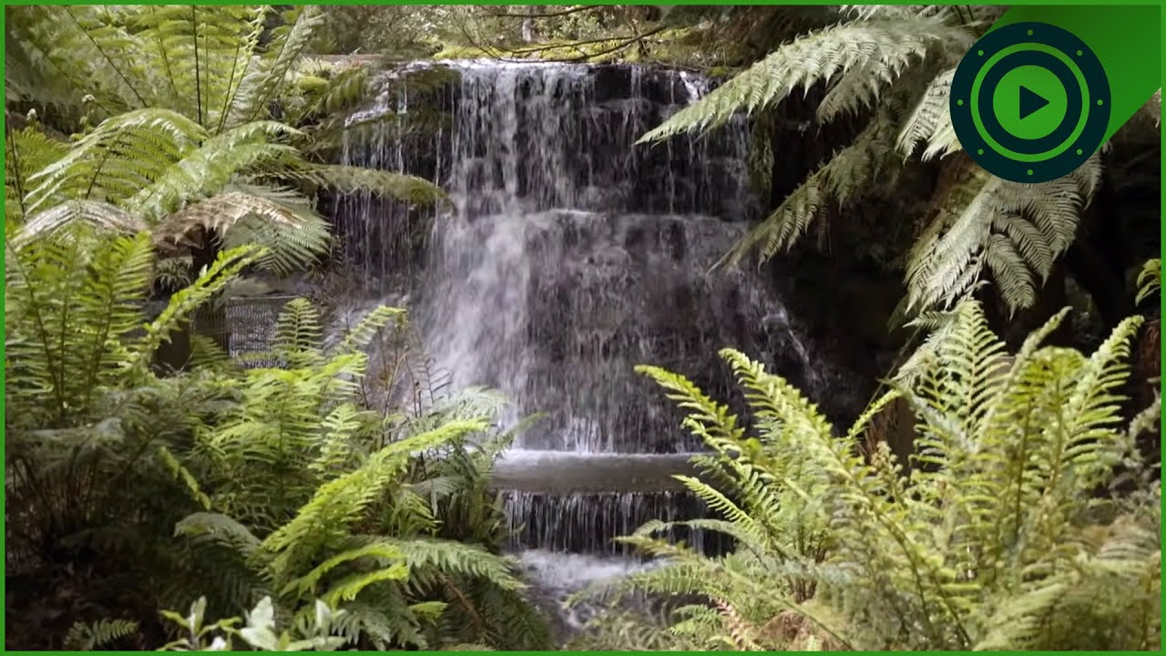 PALAWA COUNTRY: Exploring Tasmania’s 