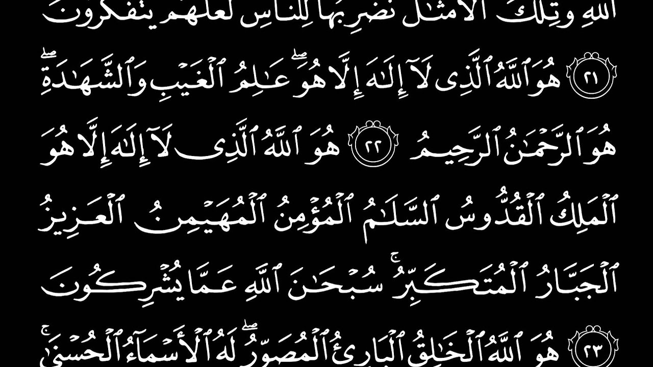 من أعبق التلاوات للشيخ محمد صالح أبو زيد من سورة الحشر