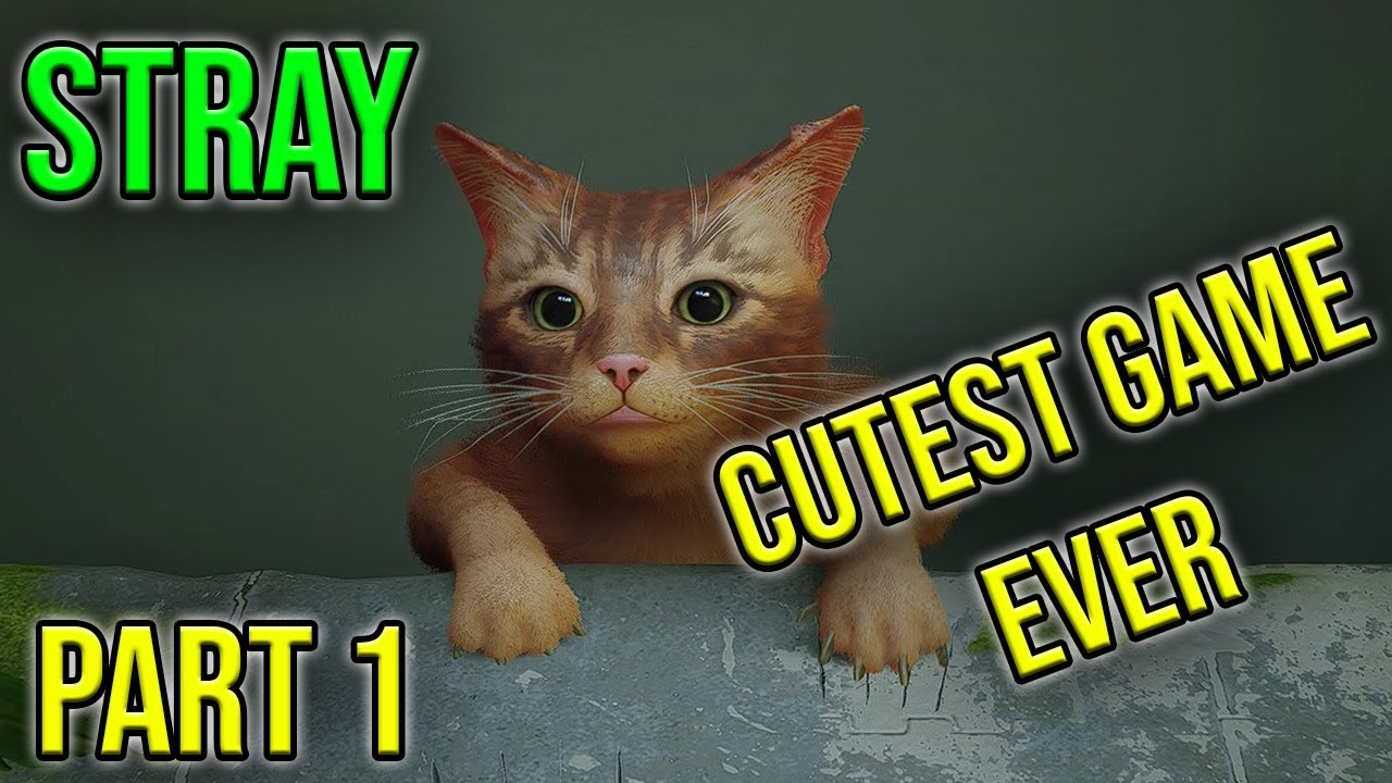 Stray Full Game Walkthrough Gameplay Part 1 | Nouman Gaming