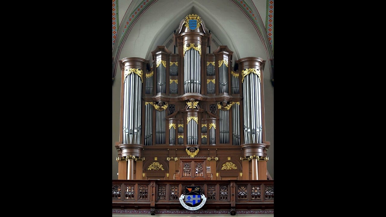 Karg-Elert: Cathedral Windows op.106 - Richard Ram