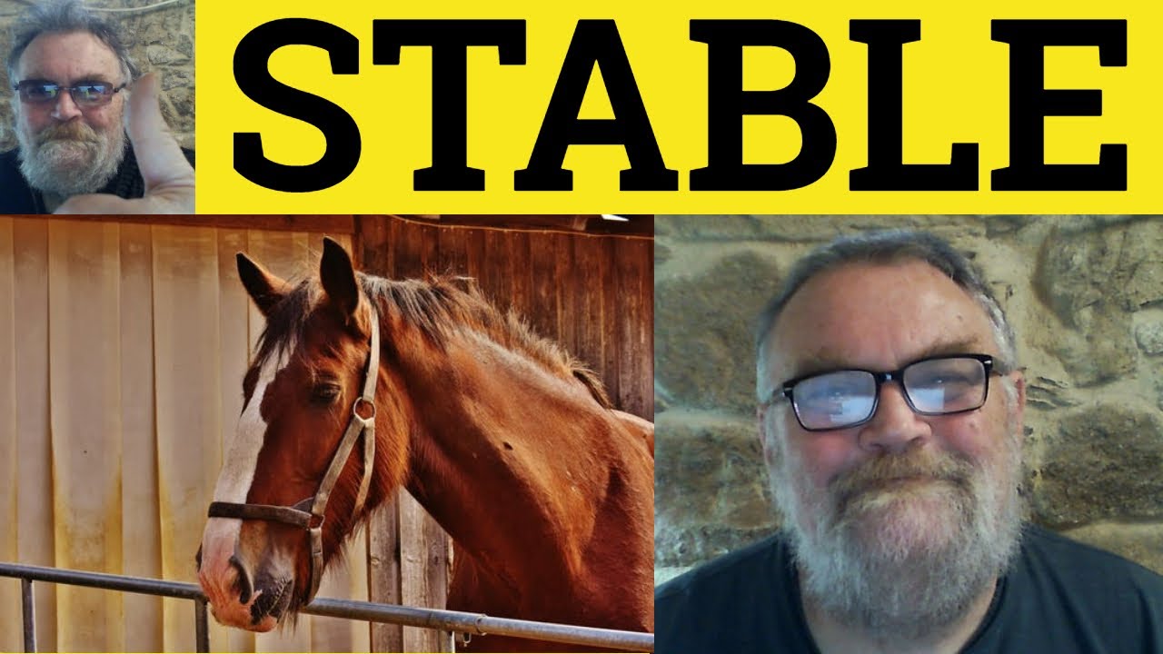🔵 Stable Meaning - Stability Defined - Stable Definition - CAE Adjectives - Stable