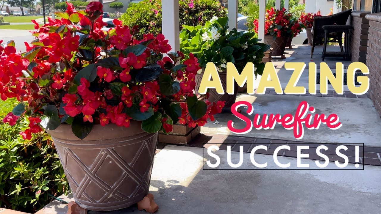 These Surefire Containers are Unbelievable! | Gardening with the Williams
