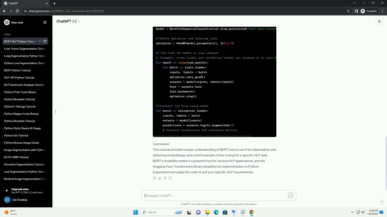 bert nlp model python
