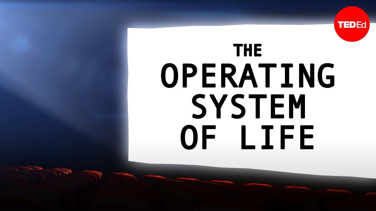 System operacyjny życia - George Zaidan i Charles Morton