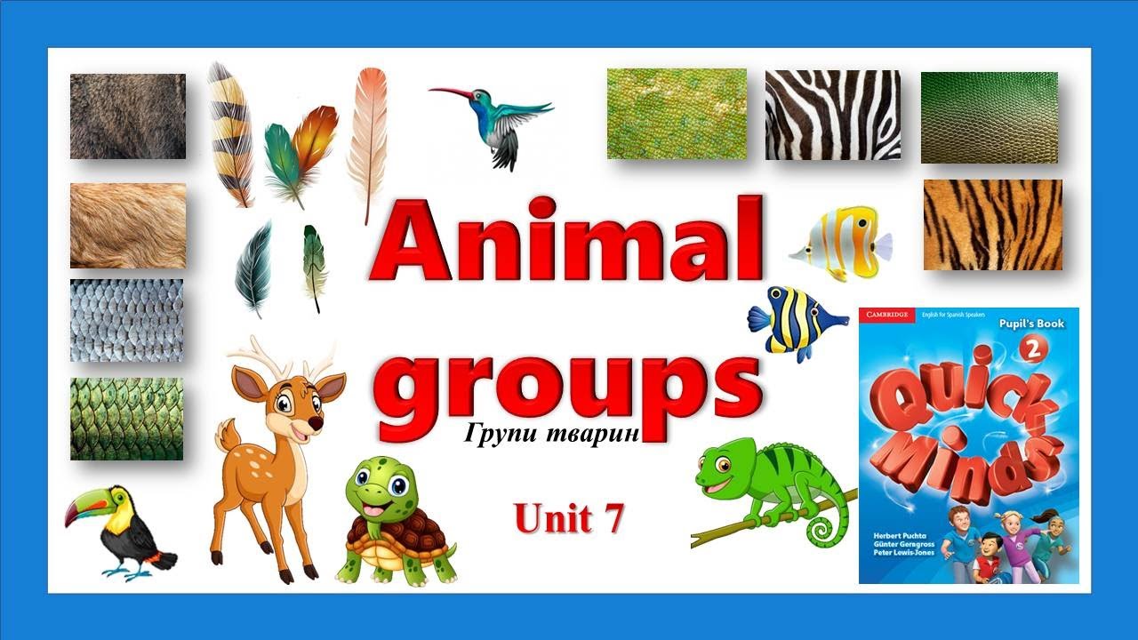 Quick Minds 2. Unit 7. Lesson 7-8. New words 