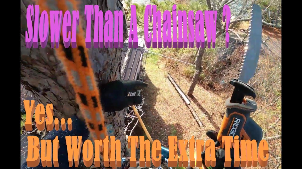 Reciprocating Saw For Tree Climbing - Are They Worth It? #toolreview #treeclimbing #treework