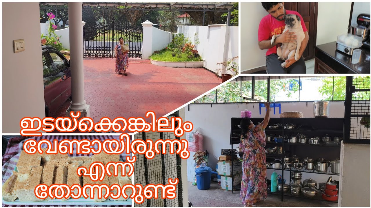 ഇന്ന് വിചാരിച്ച പണിയൊക്കെ ചെയ്ത് തീർത്തു✌️😅