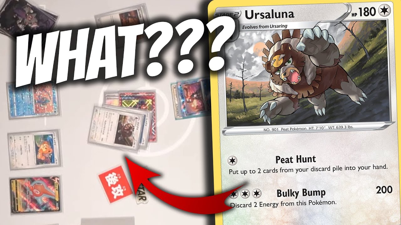 Ursaluna Control!? - Champions League Fukuoka Round 7