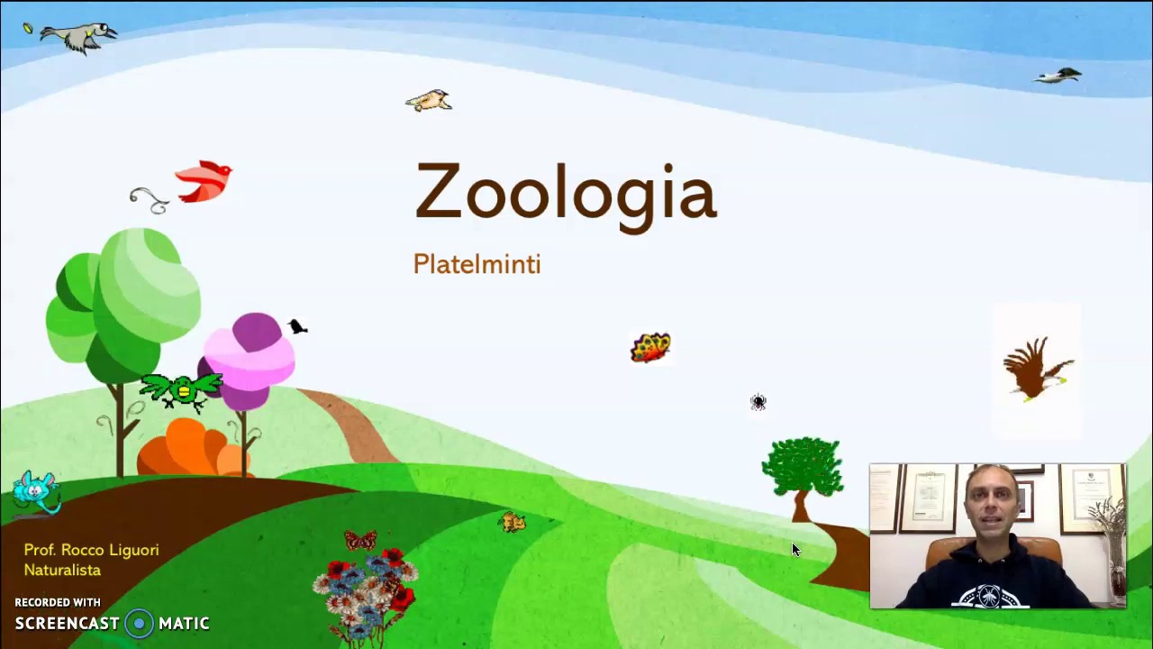 Zoologia - Platelminti