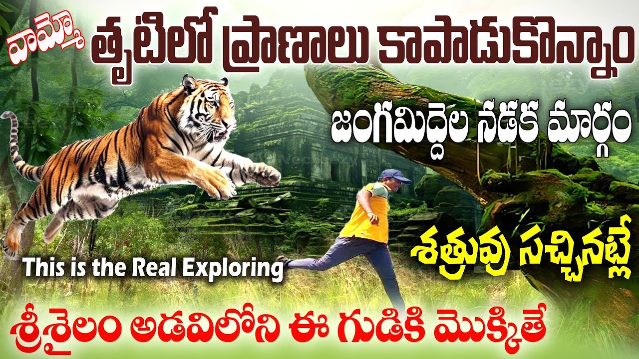 భయంకరమైన జంగమిద్దెలగుడిని  శ్రీశైలంఅడవిలో కనుగొన్నాం. jangamiddelagudi srisailam padayatra old route