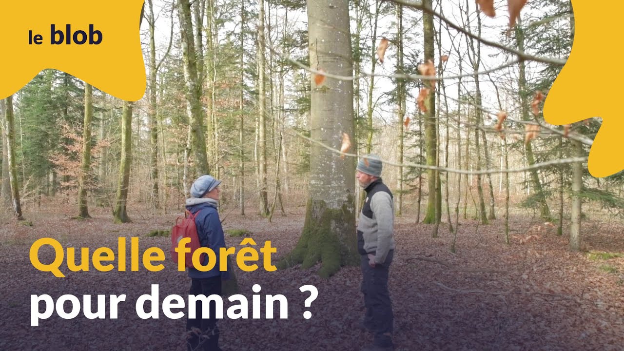 Quelle forêt pour demain ? | Reportage