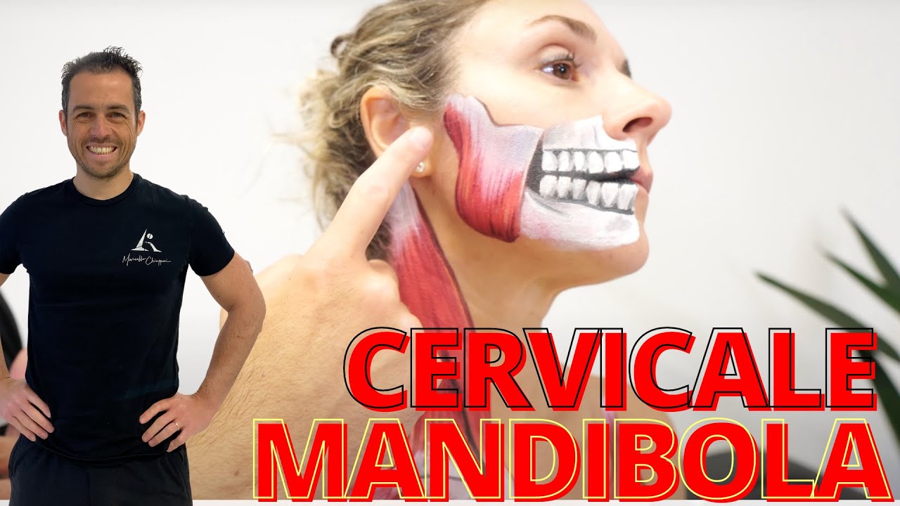 Ecco perché dolore CERVICALE e MANDIBOLARE sono collegati (NB: i denti non c'entrano)