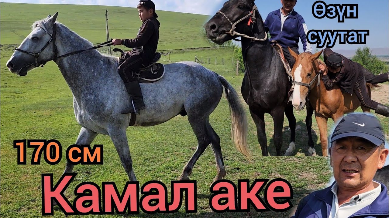 өзүн СУУТКАН КӨК МОНЧОК КАМАЛ АКЕДЕ💥2 мая 2023 г.