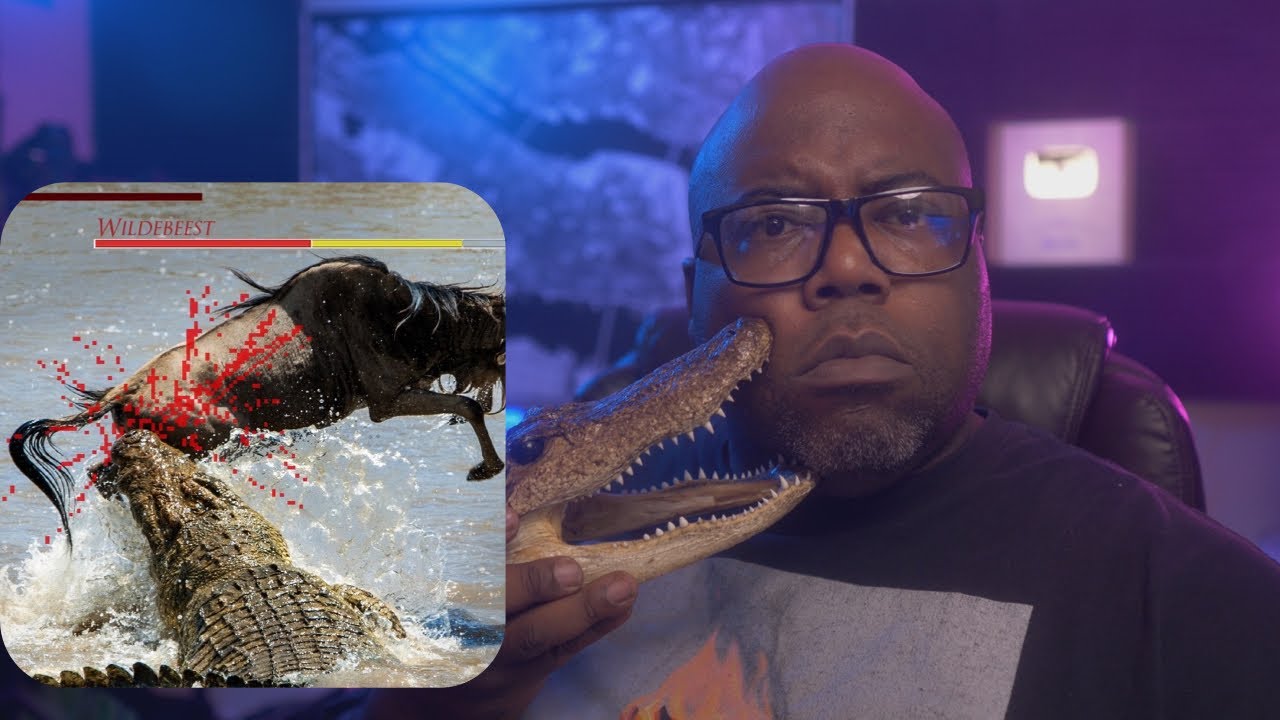 Are Crocodilians OP? | TIERZOO REACTION
