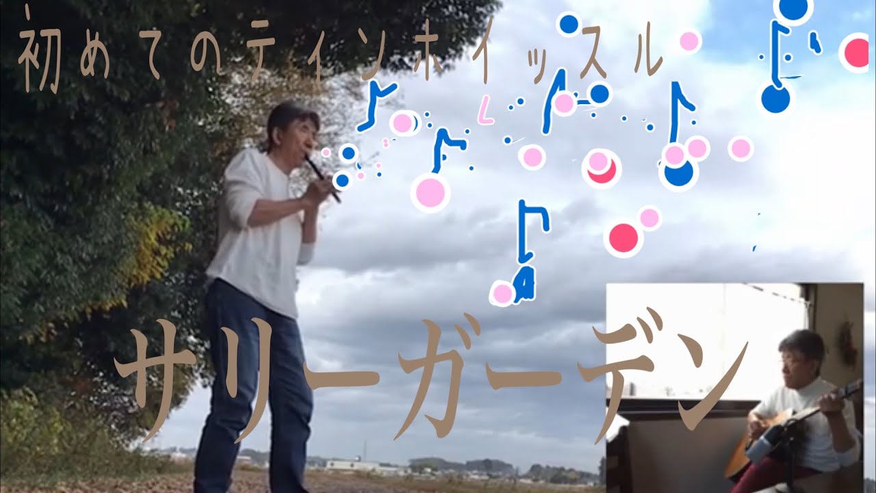 ティンホイッスル　吹いてみた　サリーガーデンズ