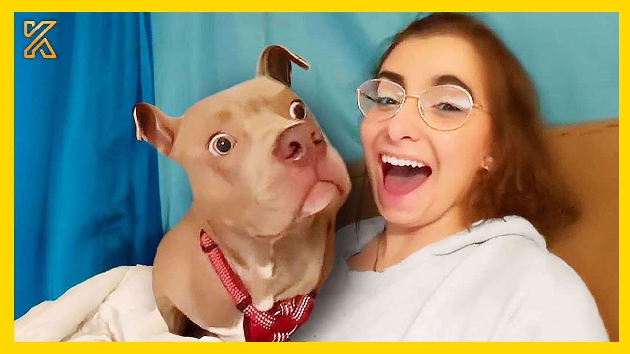 🐕 When Animals Showing Love to Human by Their Cute Way