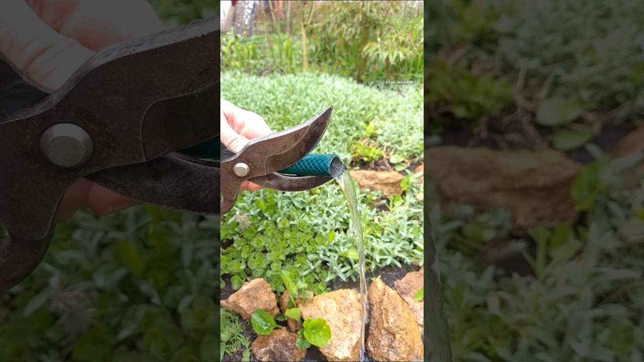 Как надежно соединить два шланга без соединителя #diy #tips #gardening #tricks #hacks