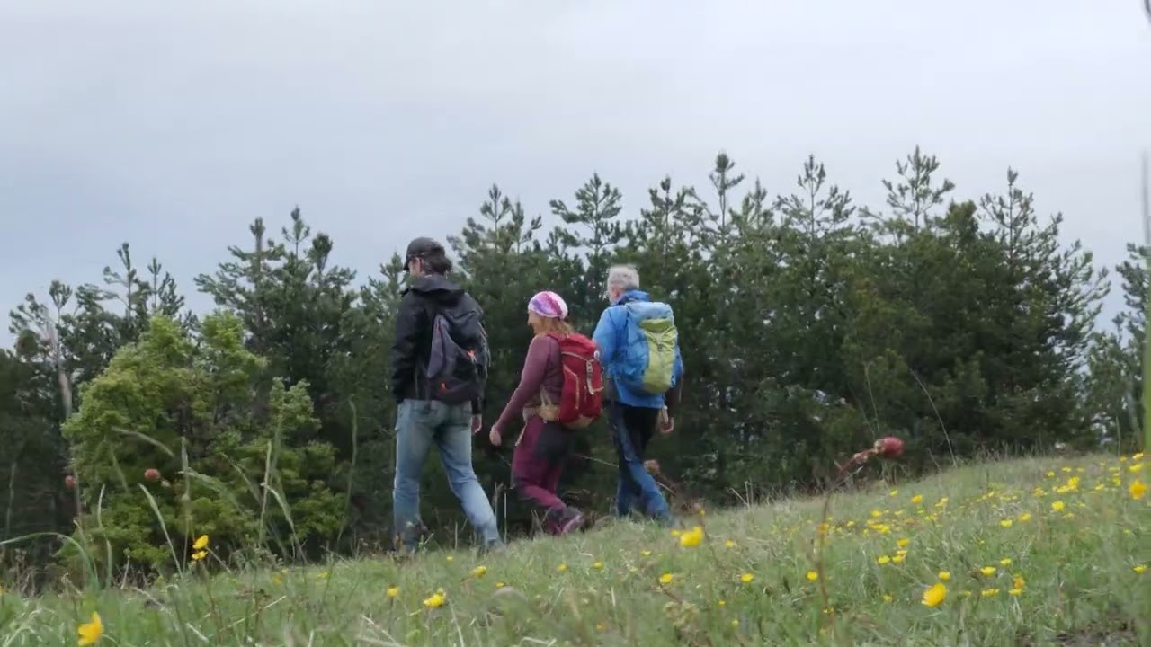 Znaci moga mesta - Tometino polje