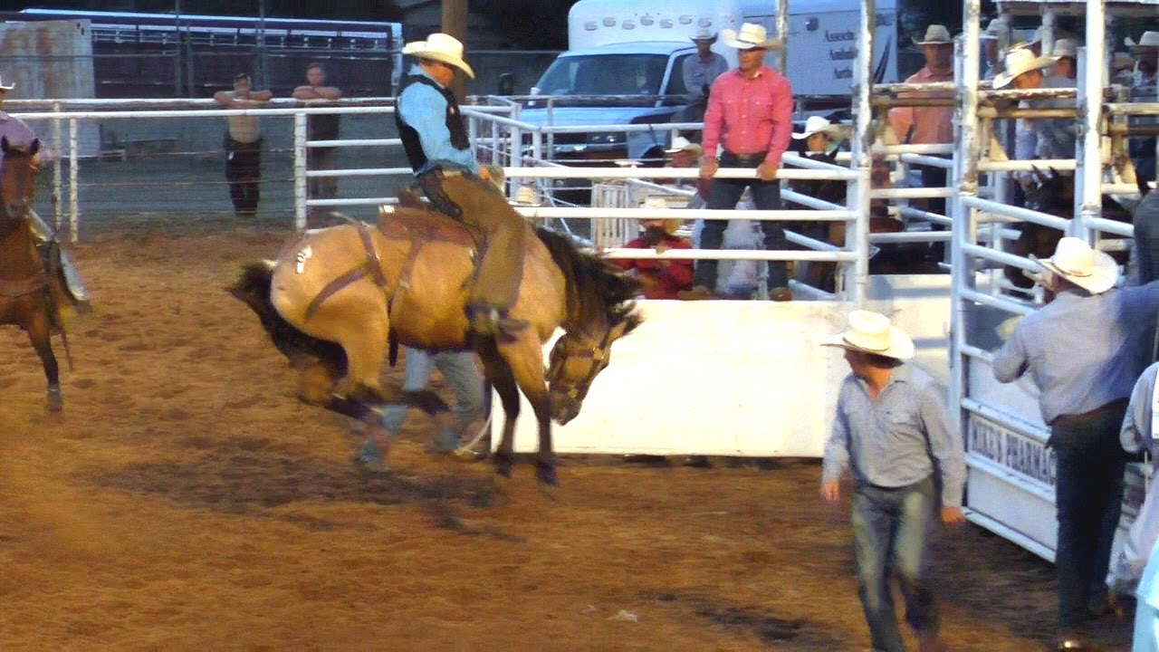 Ranch Broncs - 2019 Saint's Roost Ranch Rodeo (Saturday)