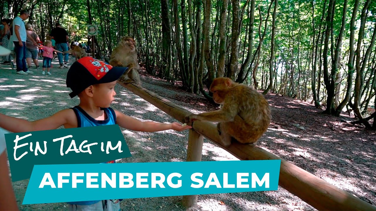 Was Familien im Affenberg Salem am Bodensee erleben können (2)