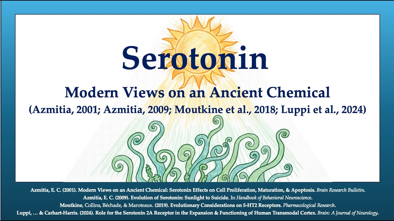Serotonin 2A & 1A: Development, Plasticity, Stability, Evolution (Azmitia, Moutkine, Luppi, 2001-24)